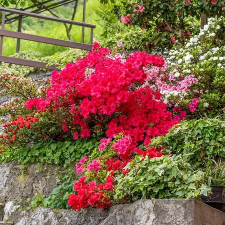 Apartment Bellavista Garden And Flowers Varenna