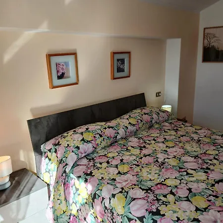 Bellavista Garden And Flowers