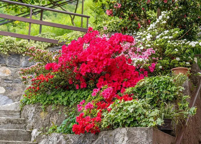 アパート Bellavista Garden And Flowers ヴァレンナ