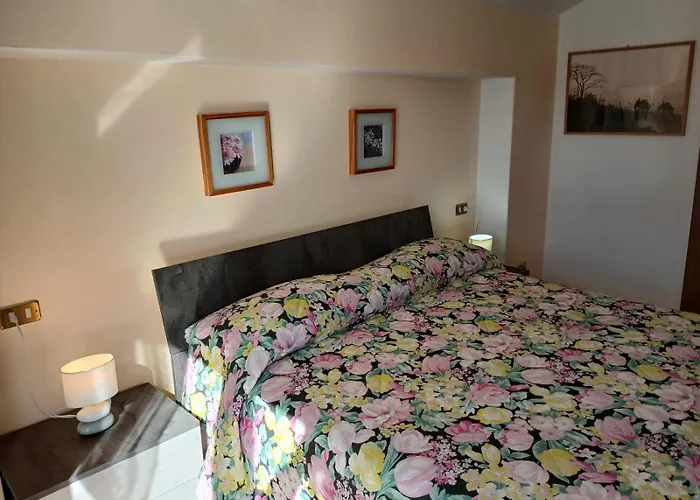 Bellavista Garden And Flowers